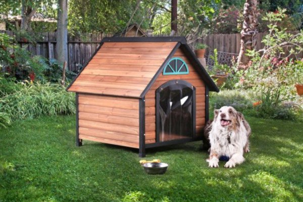 Casinha de cachorro de madeira com porta