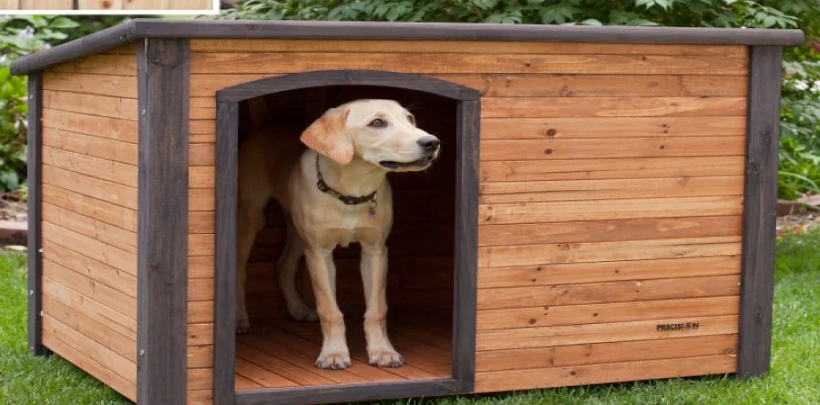 casinha de cachorro de madeira aberta