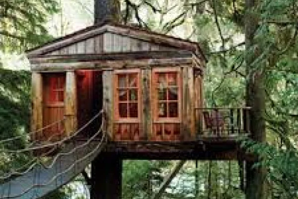 Casinha na Árvore de Madeira
